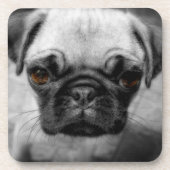 Pug Pup Bier Onderzetter (Voorkant)