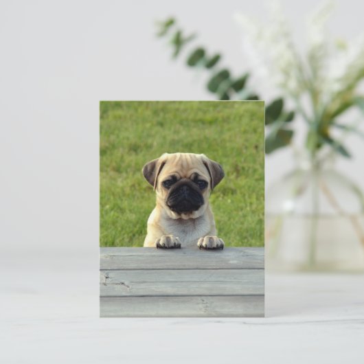 Pug Pup Briefkaart (Staand voorkant)