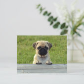 Pug Pup Briefkaart (Staand voorkant)