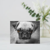 Pug Pup Briefkaart (Staand voorkant)