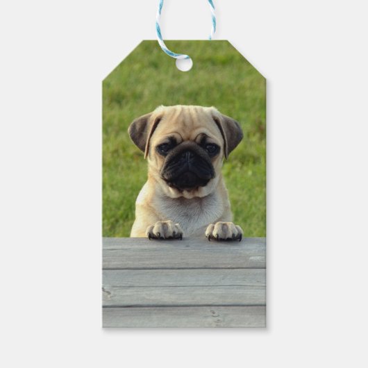 Pug Pup Cadeaulabel (Voorkant)