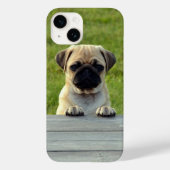 Pug Pup Cute Photo Case-Mate iPhone Case (Achterkant)