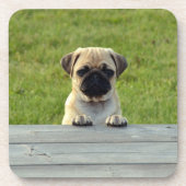 Pug Pup Drankjes Onderzetter (Voorkant)