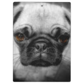 Pug Pup Klembord (Achterkant)