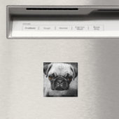 Pug Pup Magneet (Insitu (Vaatwasser))