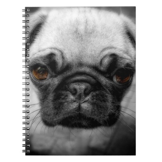 Pug Pup Notitieboek (Voorkant)