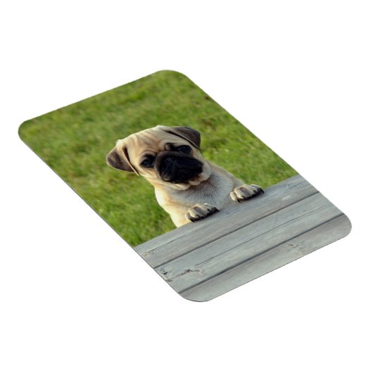 Pug Pup Photo Magneet (Rechterzijde)