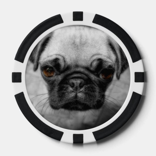 Pug Pup Pokerchips (Voorkant)