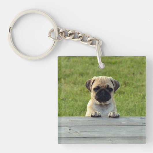 Pug Pup Sleutelhanger (Voorkant)