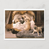 Pug Puppies Briefkaart (Voorkant)