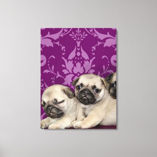 Pug Puppies Canvas Afdruk (Voorkant)