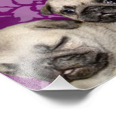 Pug puppies hond foto afdruk (Hoek)