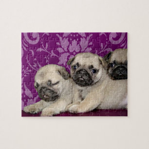 Pug puppies hond legpuzzel