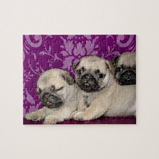 Pug puppies hond legpuzzel (Horizontaal)