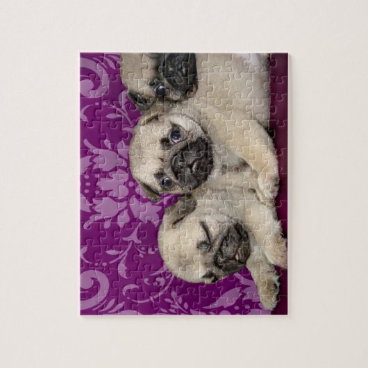 Pug puppies hond legpuzzel (Verticaal)