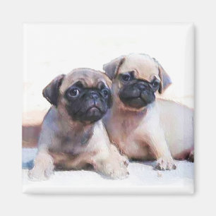 Pug puppies magneet