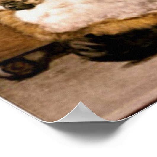 Pug Puppies Poster (Hoek)