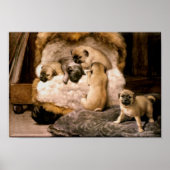 Pug Puppies Poster (Voorkant)