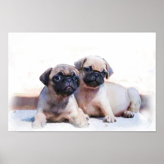 Pug puppies poster (Voorkant)