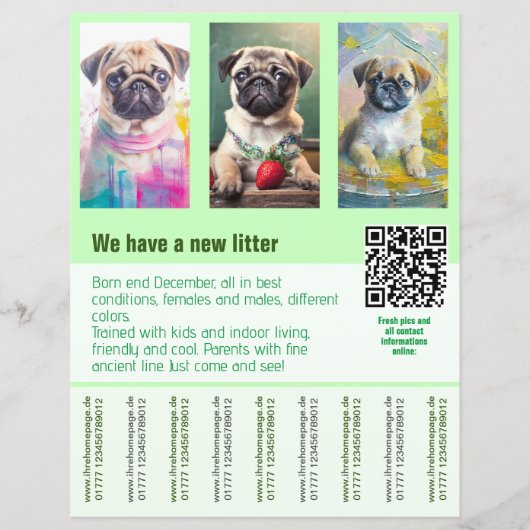 Pug puppies te koop flyer sjabloon QR code (Voorkant)