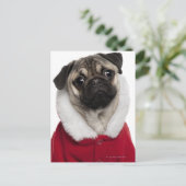 Pug puppy (6 months old) wearing a Christmas Feestdagenkaart (Staand voorkant)