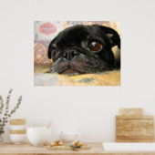 Pug Puppy Black Face Poster (Keuken)