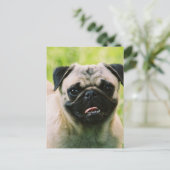 Pug Puppy Briefkaart (Staand voorkant)