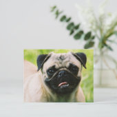 Pug Puppy Briefkaart (Staand voorkant)