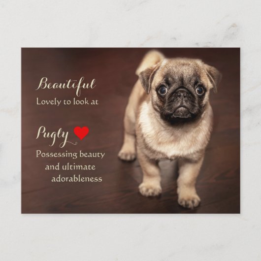 Pug Puppy Briefkaart (Voorkant)