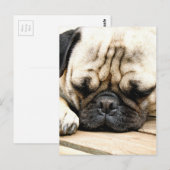 Pug puppy briefkaart (Voorkant / Achterkant)
