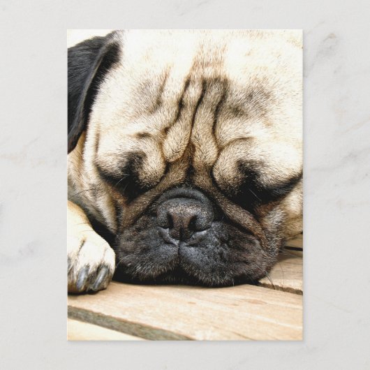 Pug puppy briefkaart (Voorkant)