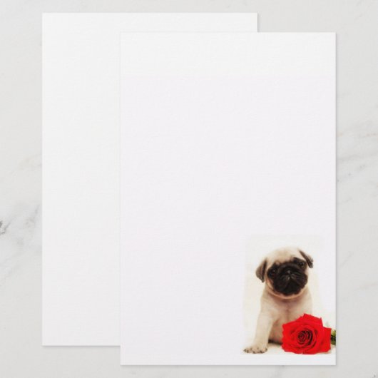 Pug puppy briefpapier (Voorkant / Achterkant)