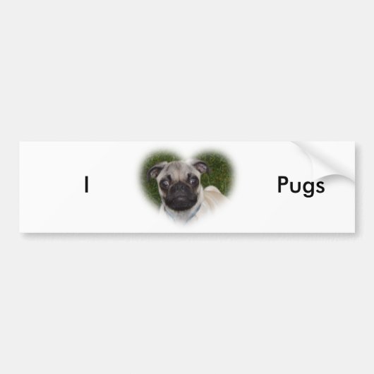 Pug Puppy Bumpersticker (Voorkant)