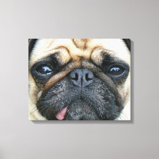 Pug Puppy Canvas Afdruk (Voorkant)