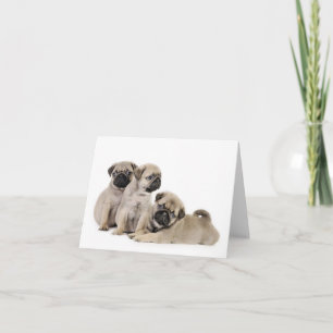 Pug Puppy Card Kaart