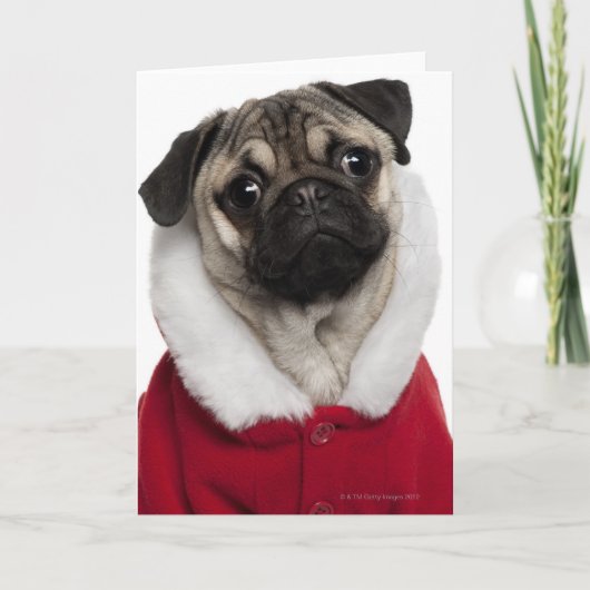 Pug puppy die (6 maanden oud) Kerstmis dragen Feestdagen Kaart (Voorkant)