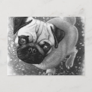 Pug Puppy Dog Art Briefkaart