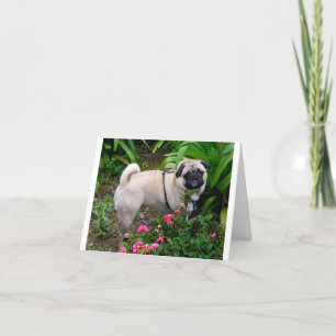 Pug Puppy Dog Blank-briefkaart Kaart