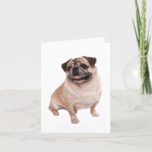 Pug Puppy Dog Blank Greet Note Card Kaart