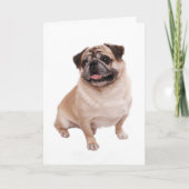 Pug Puppy Dog Blank Greeting  Note Card Kaart (Voorkant)