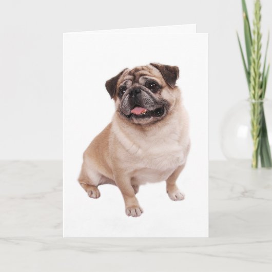 Pug Puppy Dog Blank Greeting  Note Card Kaart (Voorkant)