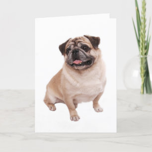Pug Puppy Dog Blank Greeting  Note Card Kaart