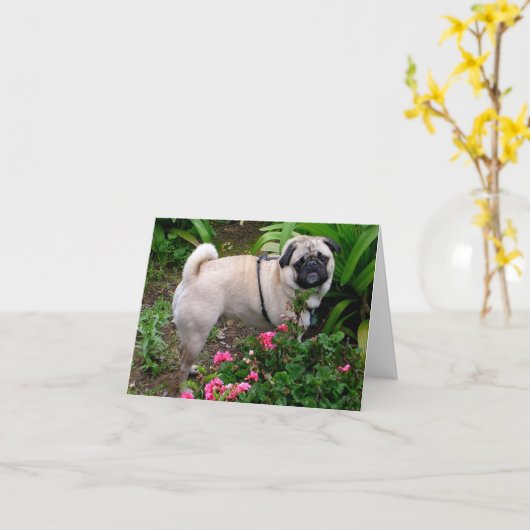 Pug Puppy Dog Blank Greeting Note Kaart (Gele Bloem)