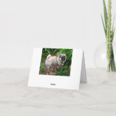 Pug Puppy Dog Blank Greeting Note Kaart (Achterkant)