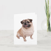Pug Puppy Dog Blank Greeting Note Kaart (Voorkant)