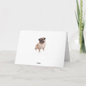 Pug Puppy Dog Blank Groeten Roze Note Kaart (Achterkant)