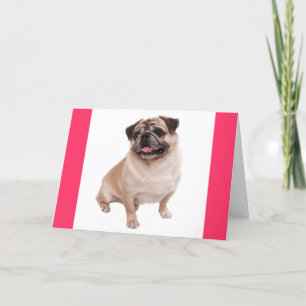 Pug Puppy Dog Blank Groeten Roze Note Kaart