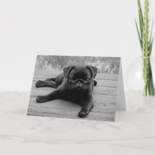 Pug Puppy Dog Blank Note Card Kaart