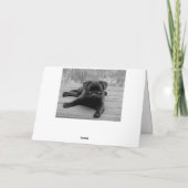 Pug Puppy Dog Blank Note Kaart (Achterkant)