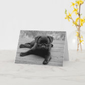 Pug Puppy Dog Blank Note Kaart (Gele Bloem)